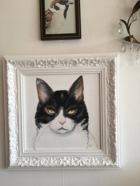 Black and White Cat Painting (Framed)