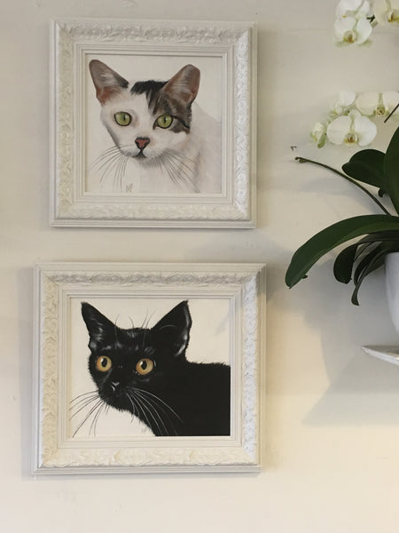 cat portrait framed paintings on the wall