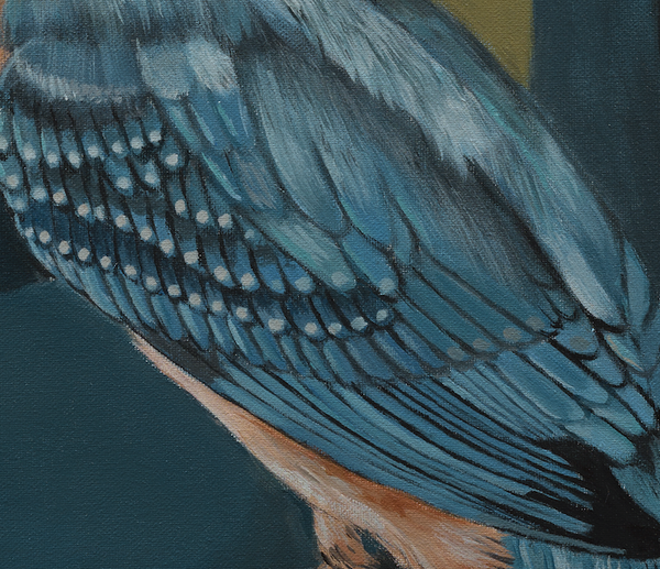 Roy Kingfisher Art Print