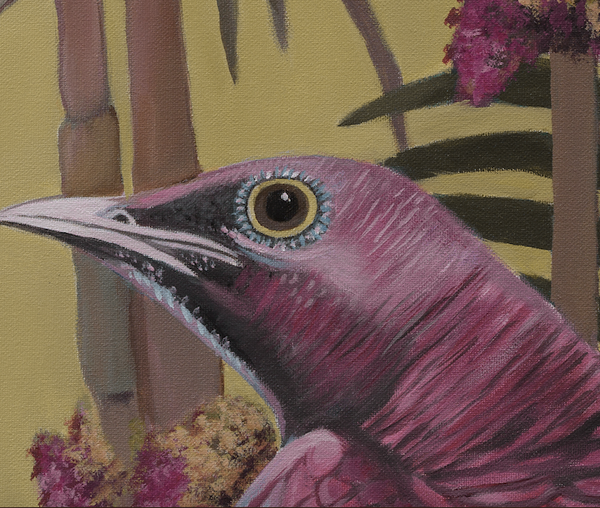 "Juniper" Pink Parrot and Palms