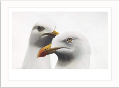 Seagull Art Print "Barret and Lorenzo"
