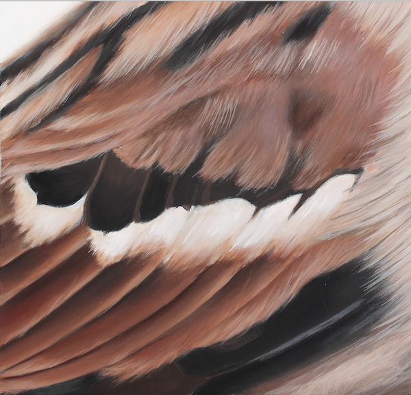 Sparrow Art Print "Tallulah"