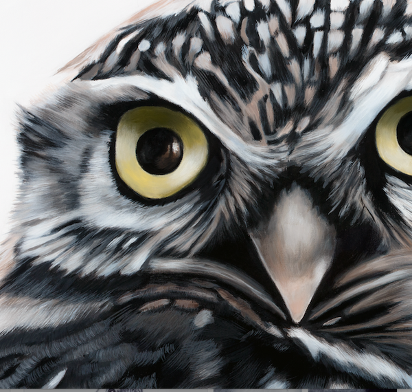 Small Owl Art Print "Olive"