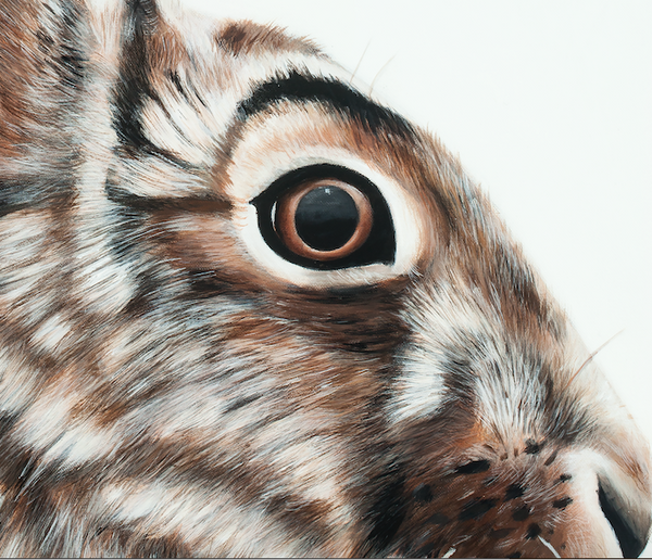Rabbit art print detail