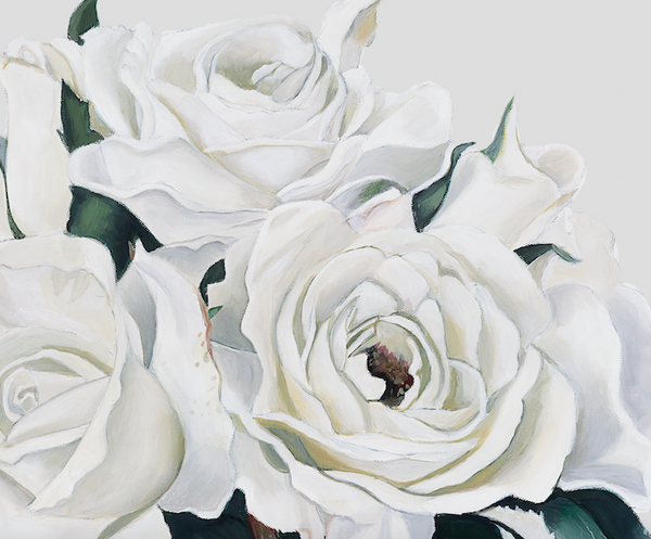 white rose art print, close up detail of flower blooms