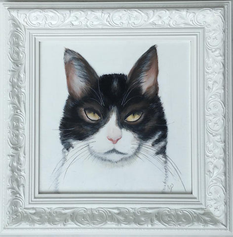 black and white cat painted portrait by margaret petchell