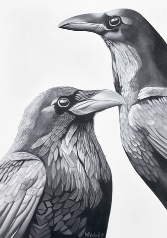 The Crows  Bird Art Print