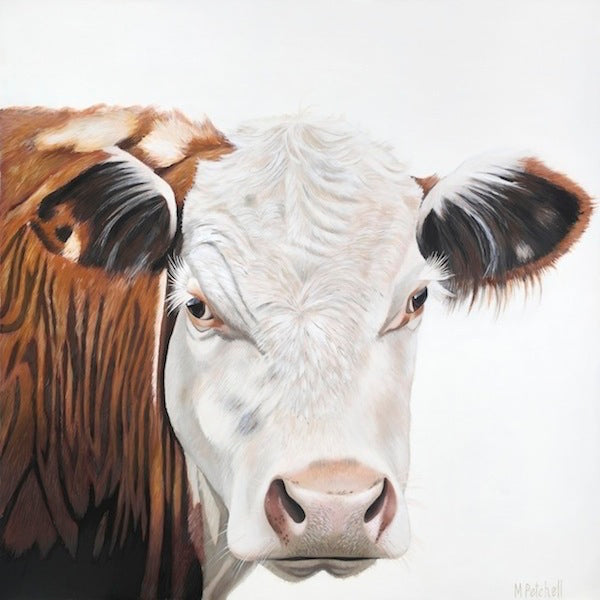 Amos Cow Art Prints, with every sale of this art print, 100% profit goes to Paws Awhile Animal Sanctuary in Raglan