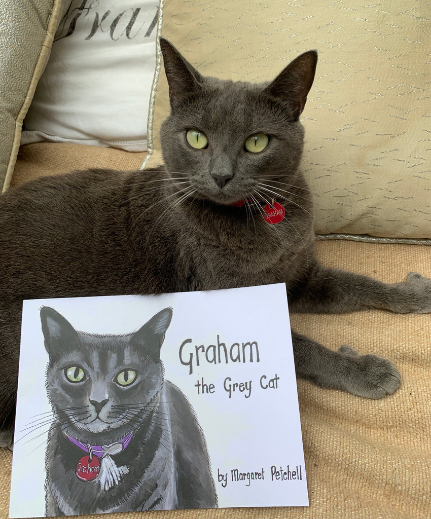Graham the Grey Cat New print run only 3 left!!