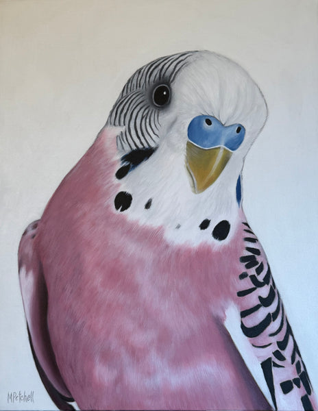 June Pink Budgie