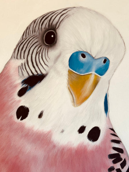 June Pink Budgie