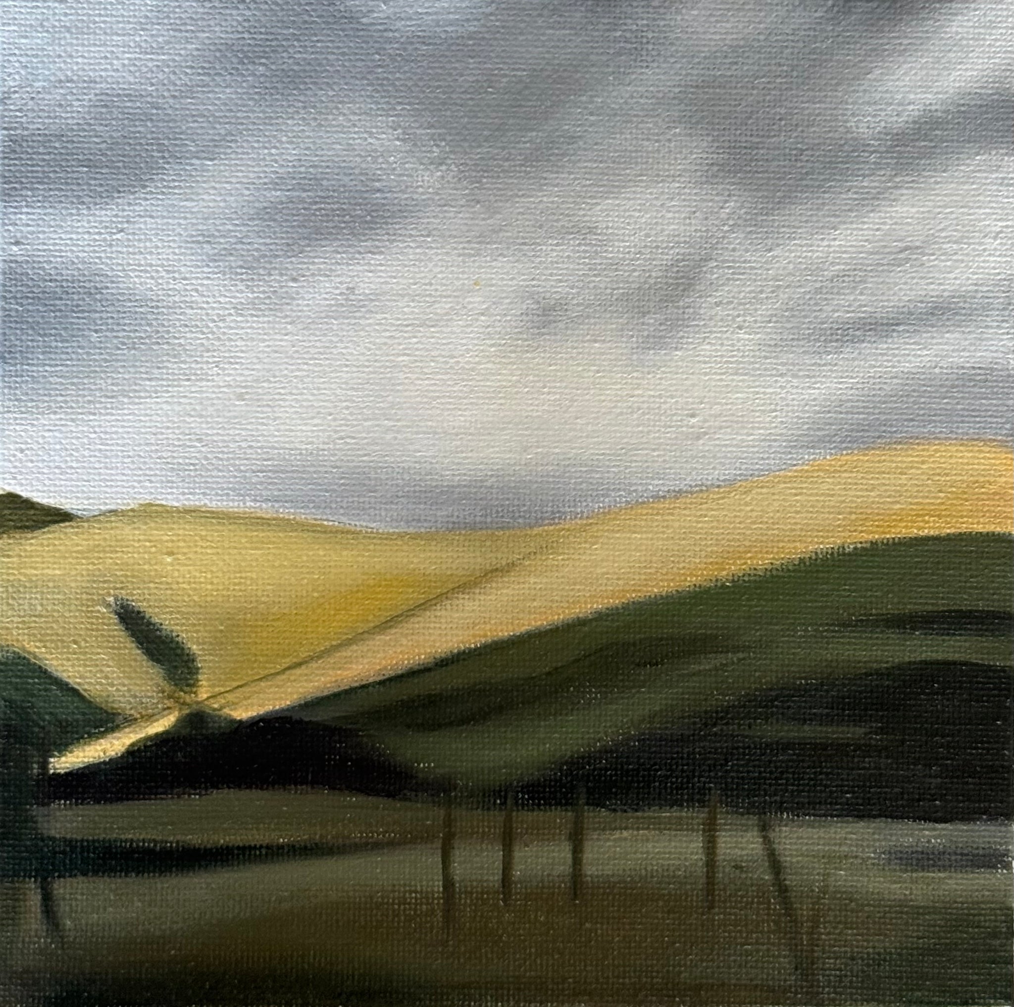 Hawkes Bay HIlls