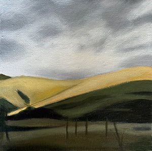 Hawkes Bay HIlls