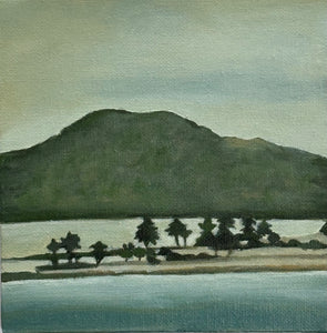 Rangitoto Island