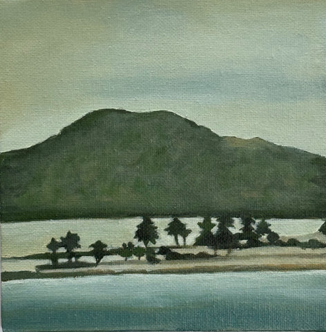 Rangitoto Island