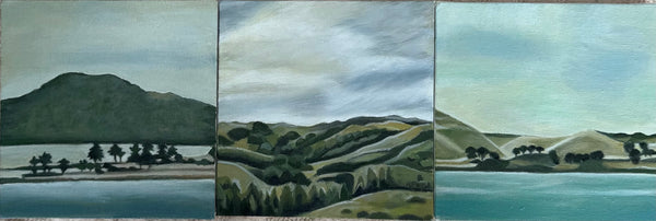 Rangitoto Island
