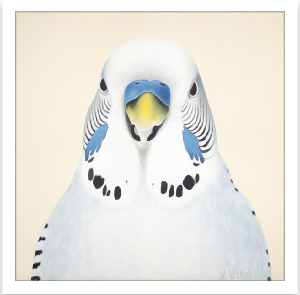 Budgie Art Print "Sid"