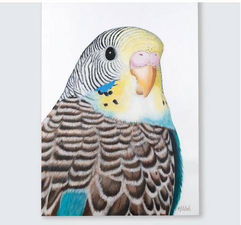 Doris Budgie