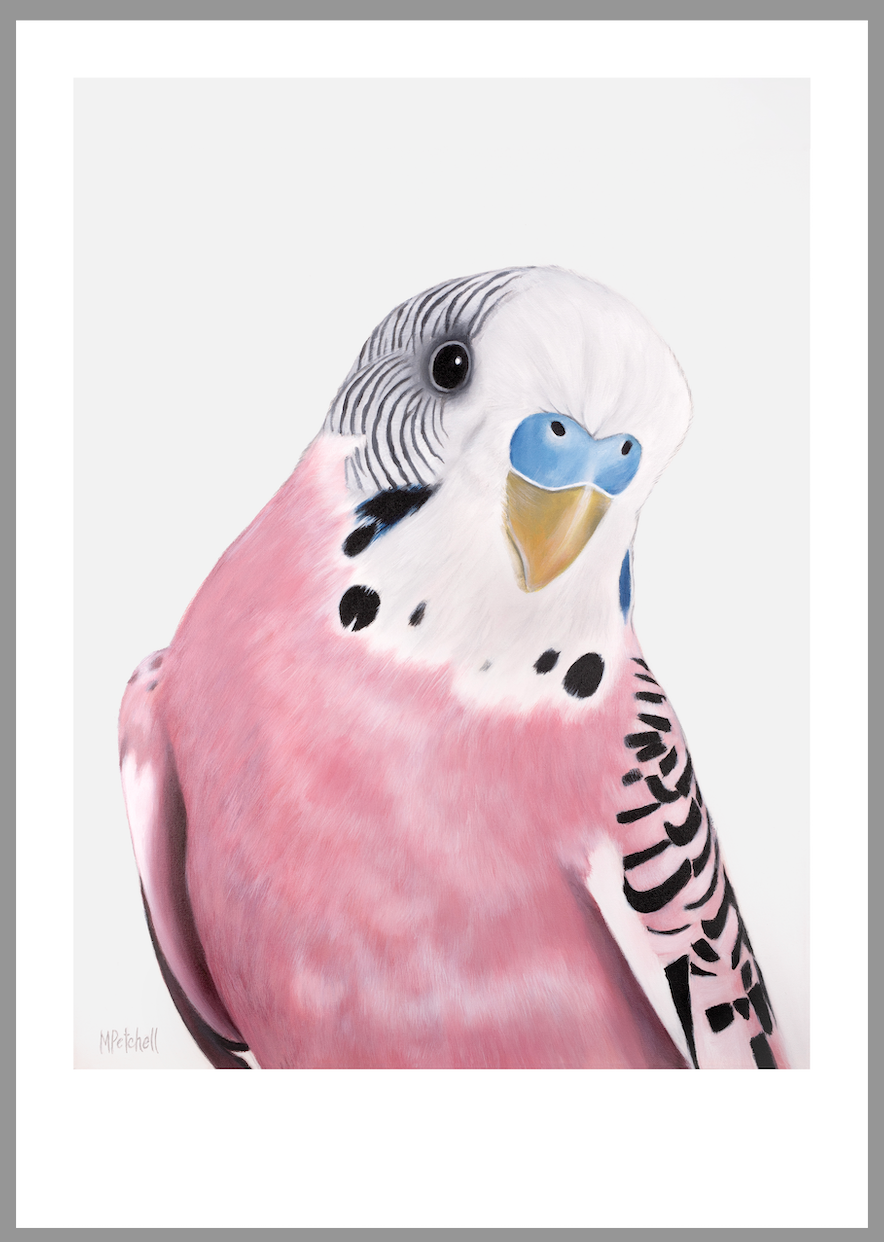 June Pink Budgie