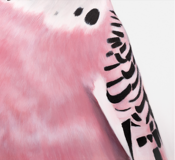 June Pink Budgie