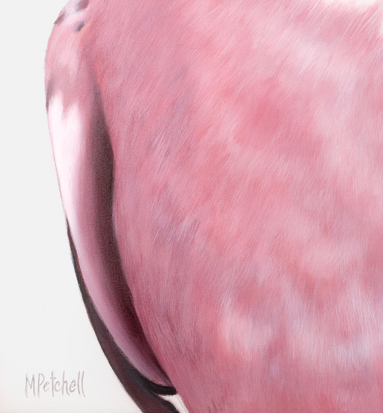 June Pink Budgie