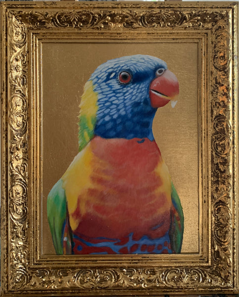 Pappagallo Parrot