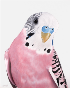 June Pink Budgie