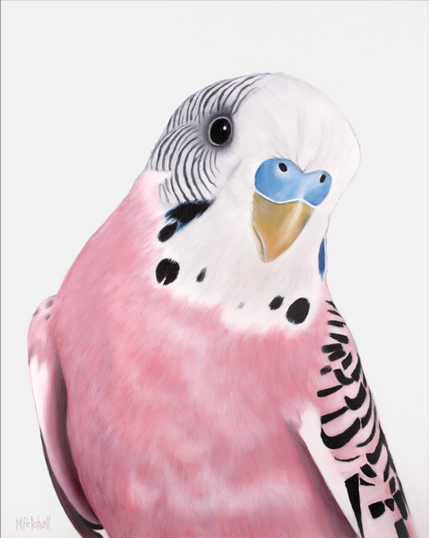 June Pink Budgie