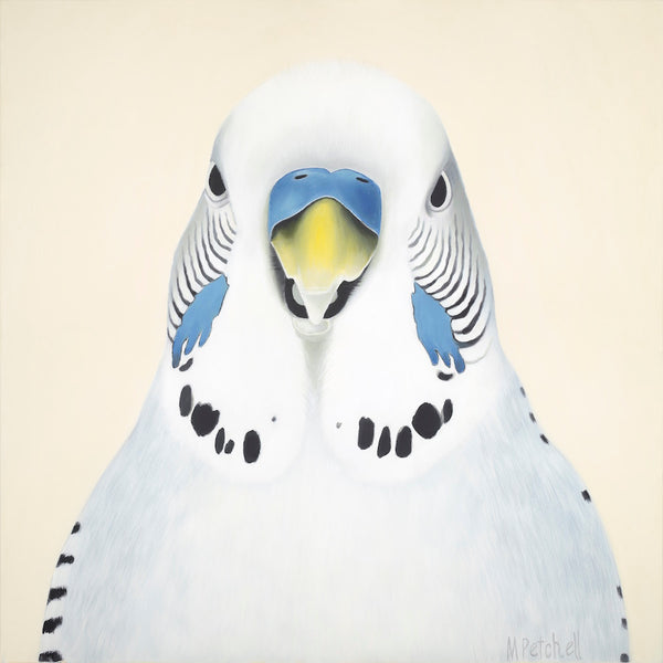 Budgie Art Print "Sid"