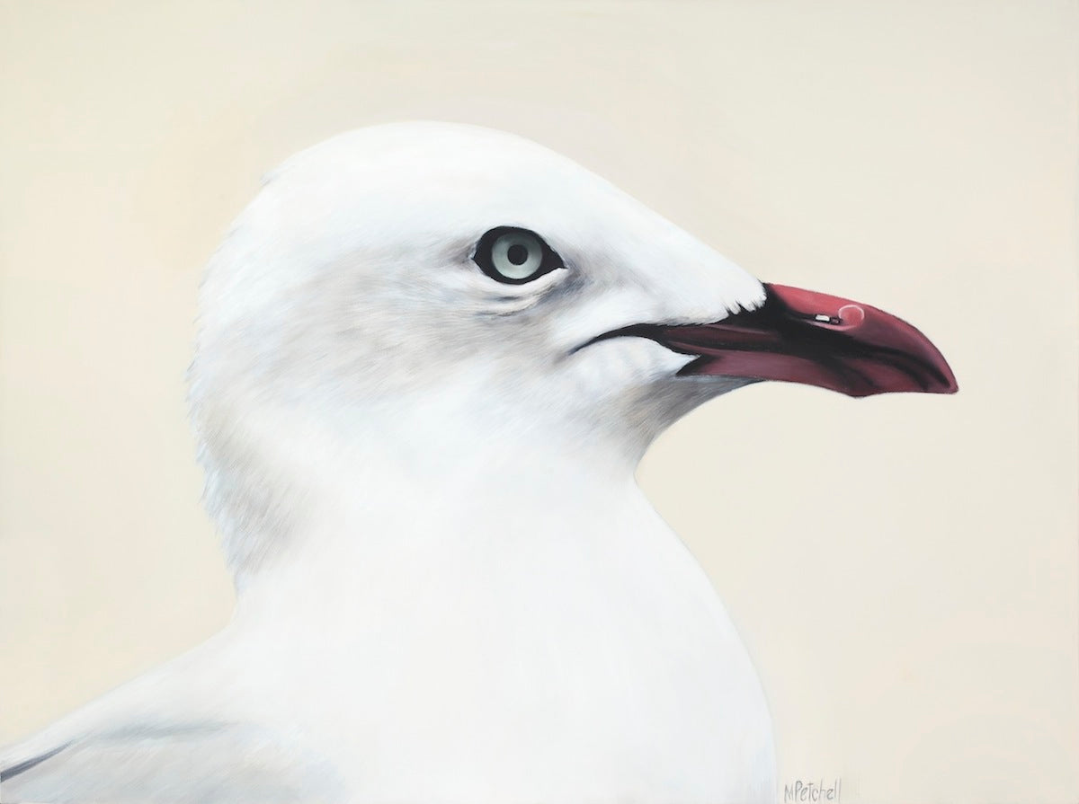 seagull art print