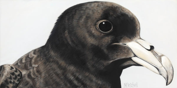 New Zealand native bird Petrel, art print Petrel 