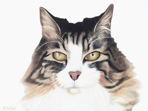 Cat Art Print "Ziggy Marly"
