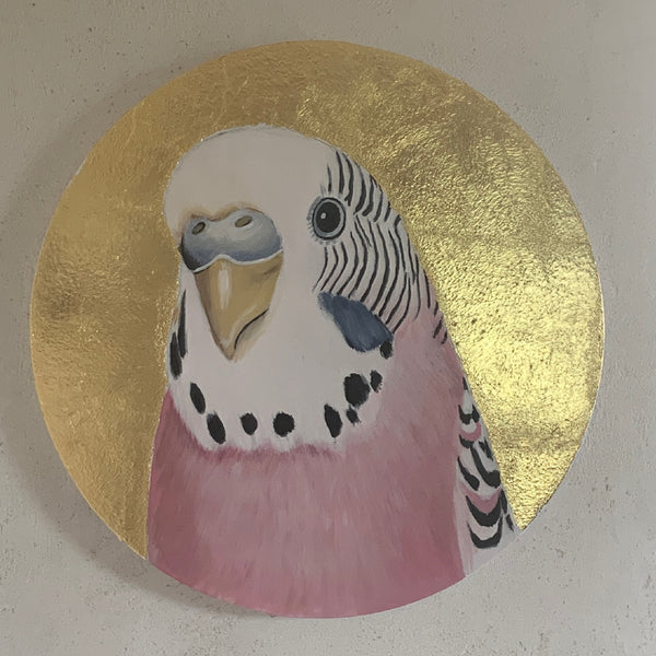 Pink Budgie "Dorothy"
