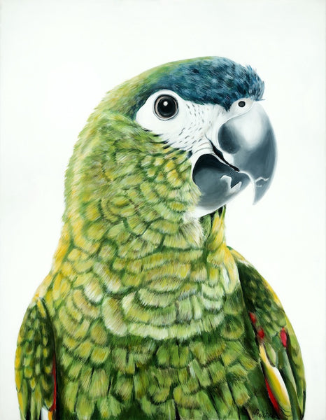 green parrot fine art print 
