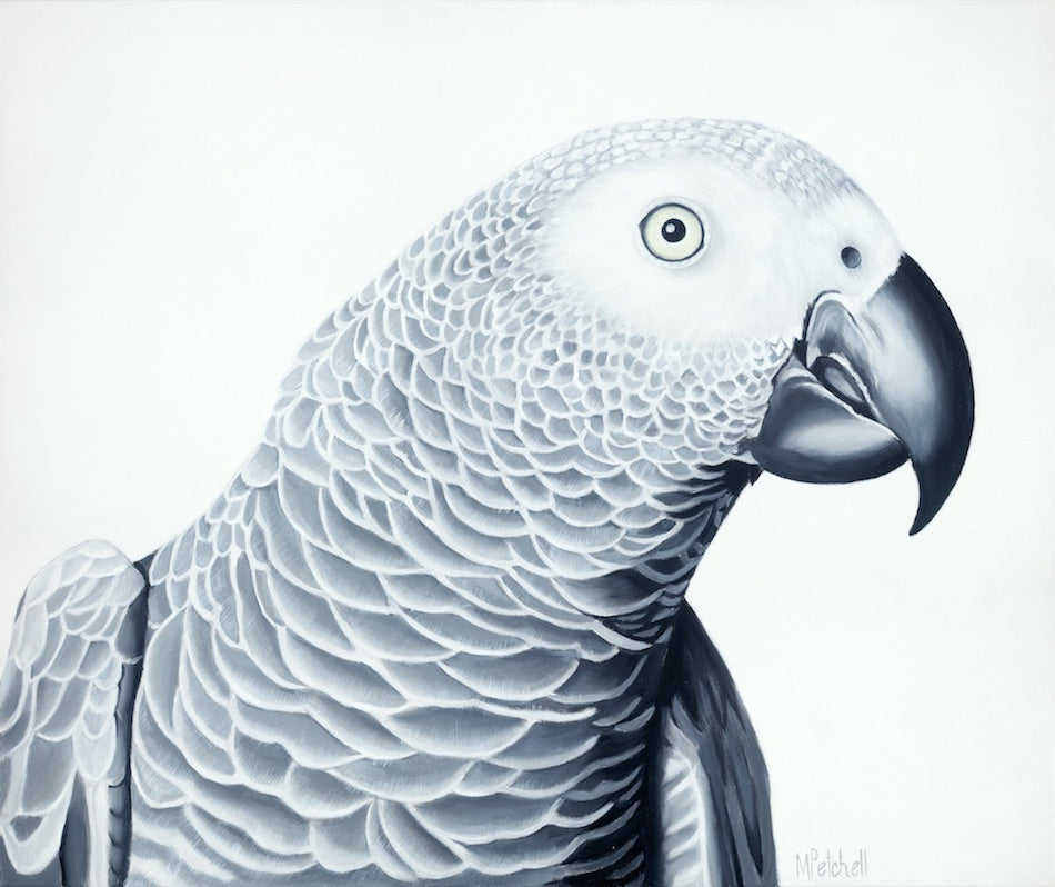 parrot acrylic on canvas painting, black and white art. large format bird painting . bird portrait