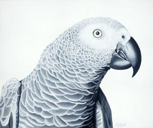 Parrot art print, african grey bird