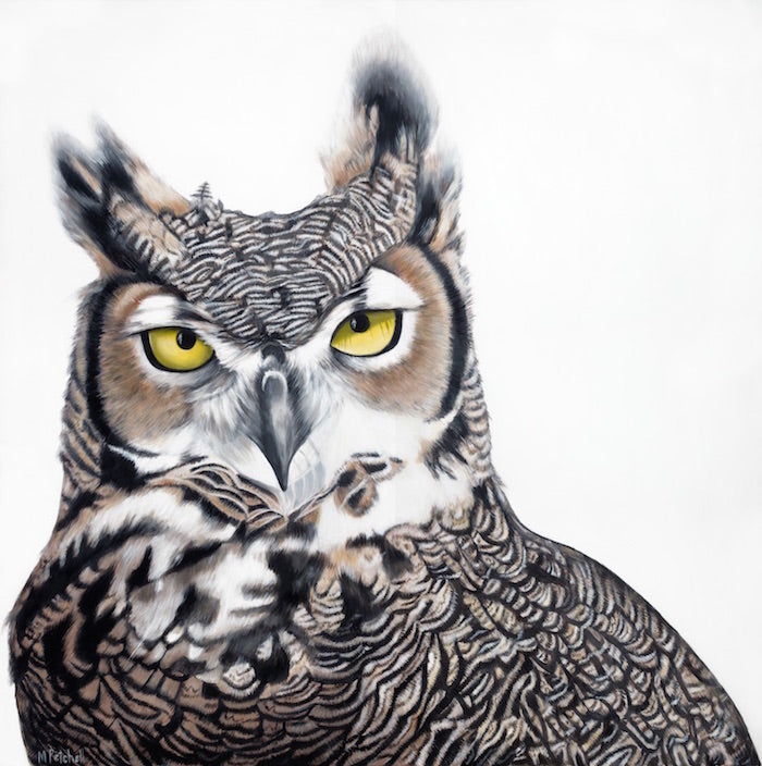 Owl Art Print "Herbet"