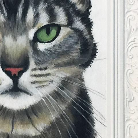 Tabby Cat (Framed)