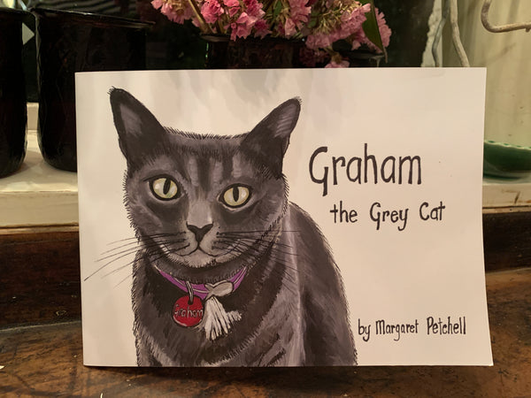 Graham the Grey Cat
