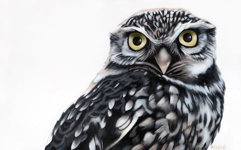 XMAS SALE !  35% OFF DISCOUNT CODE   XMAS35Owl  Painting "Olive"