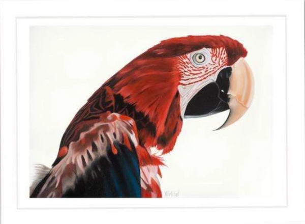 Parrot Art Print "Jerry"
