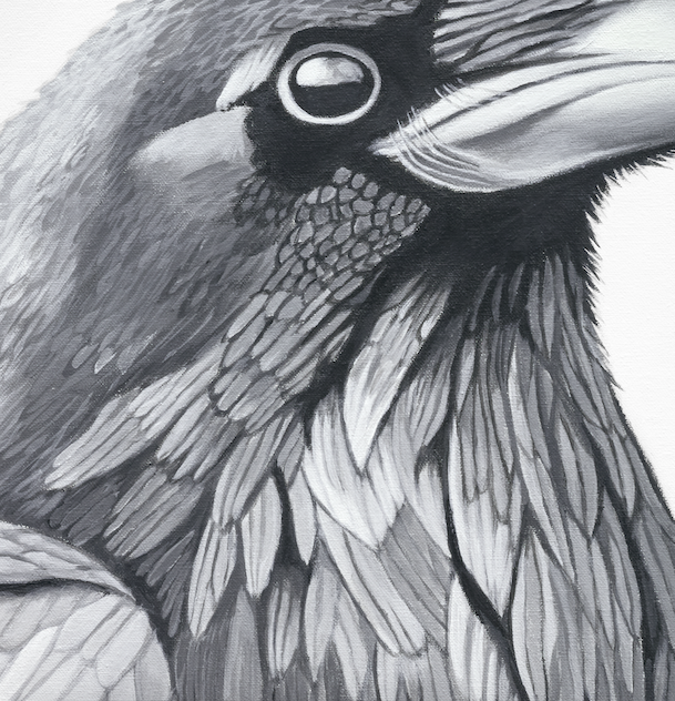 The Crows  Bird Art Print