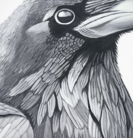The Crows  Bird Art Print