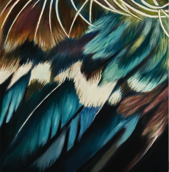 NZ tui art print close up detail of colourful feathers, parson bird