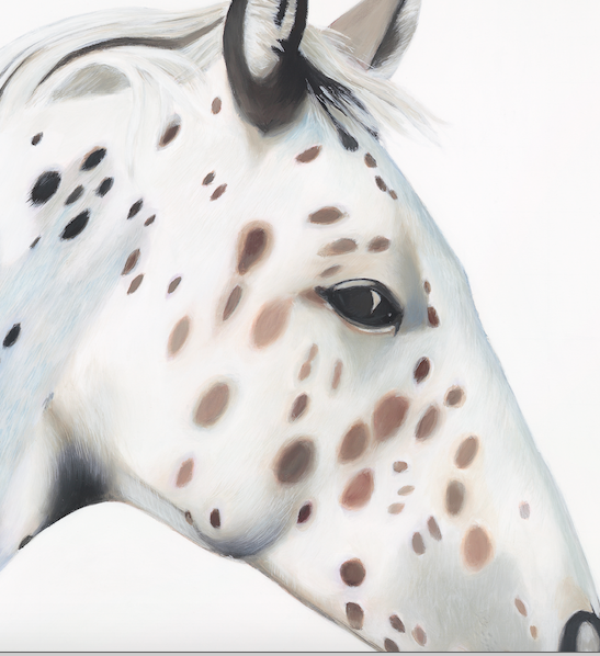horse art print close up detail, horses head
