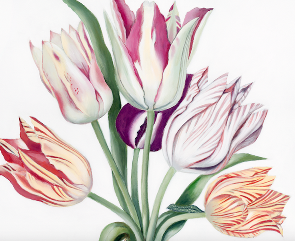 Tulips in Galle Cameo Vase Art Print