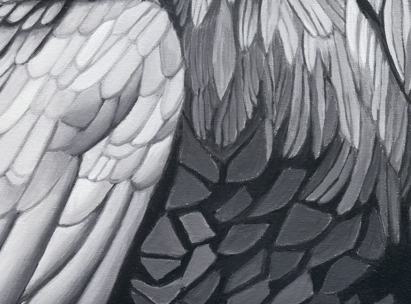 The crows portrait, close up detail of feather pattern and design