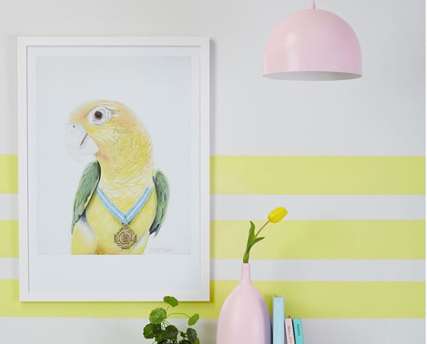 yellow parrot framed, hanging on the wall