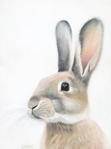 Bunny , rabbit art print