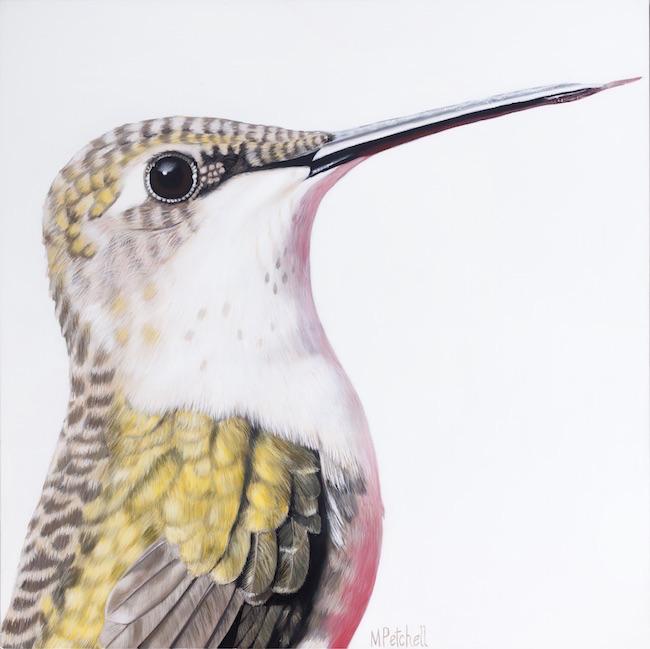 Ava Hummingbird Original Painting
